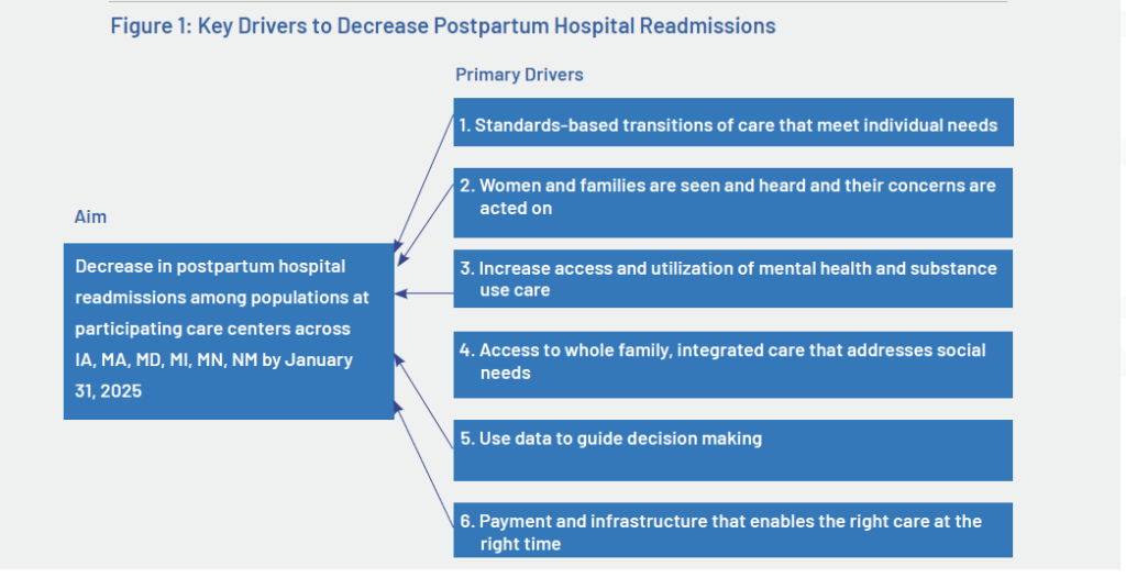 Key Drivers to Decrease Postpartum Hospital Readmissions